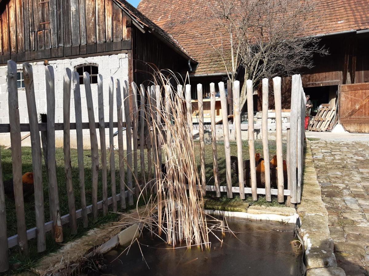Pension Will Kusterdingen Exterior foto
